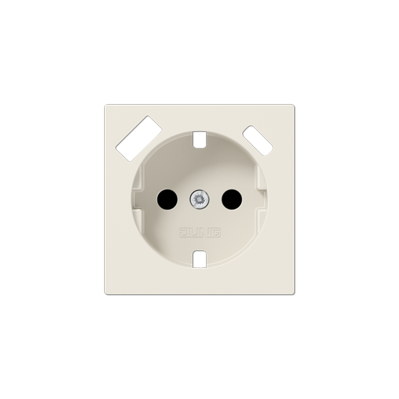 Накладка для розетки SCHUKO з USB тип AC