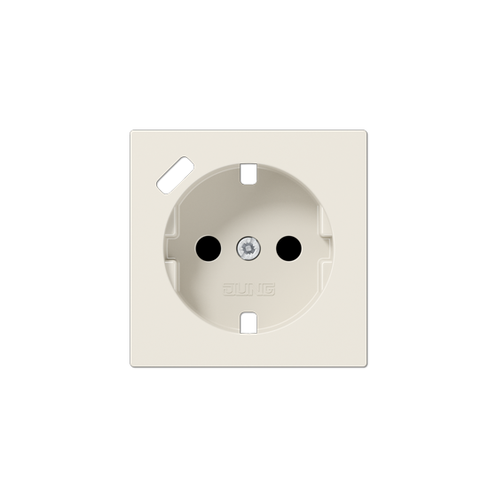 Накладка для розетки SCHUKO з USB тип C