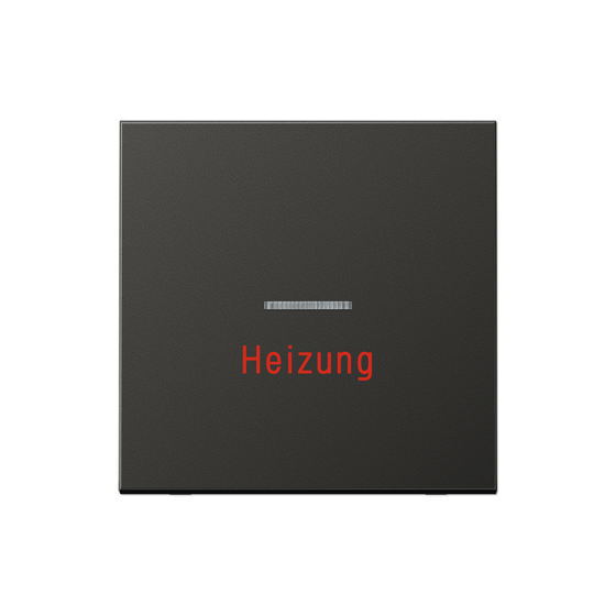 Клавіша з написом "Heizung Notschalter"