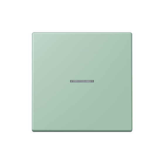 Клавіша JUNG HOME, 1 група