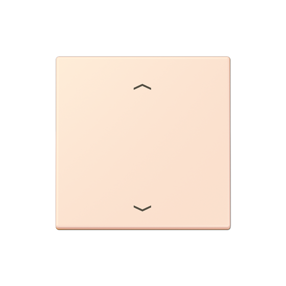 Клавіша для вимикача F10 зі стрілками