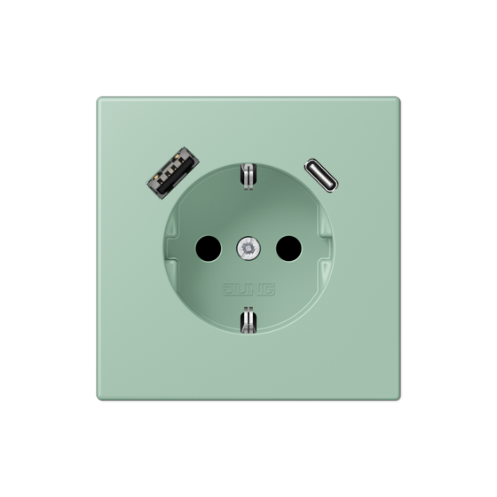 Розетка SCHUKO з USB тип AC