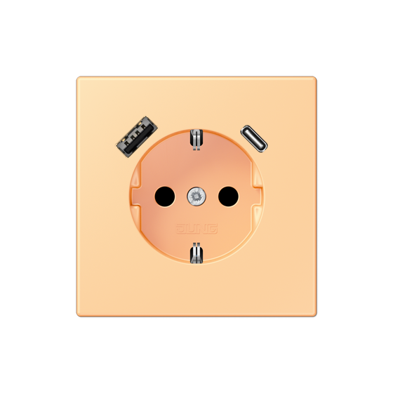 Розетка SCHUKO з USB тип AC