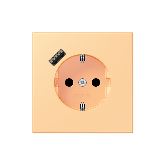 Розетка SCHUKO з USB тип A