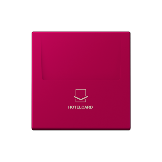 Накладка карткового вимикача HOTELCARD