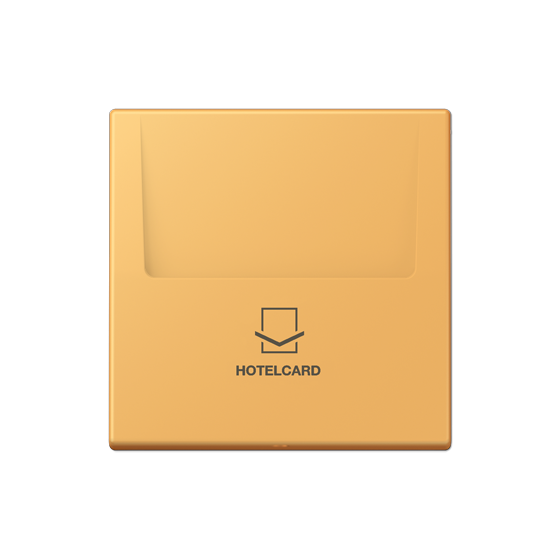 Накладка карткового вимикача HOTELCARD
