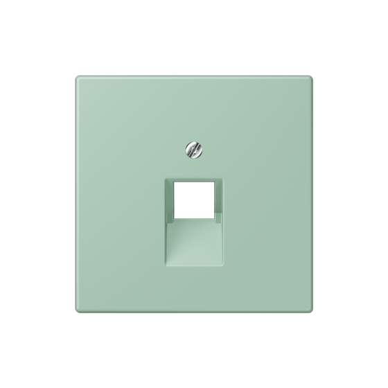 Накладка для комп'ютерної розетки UAE