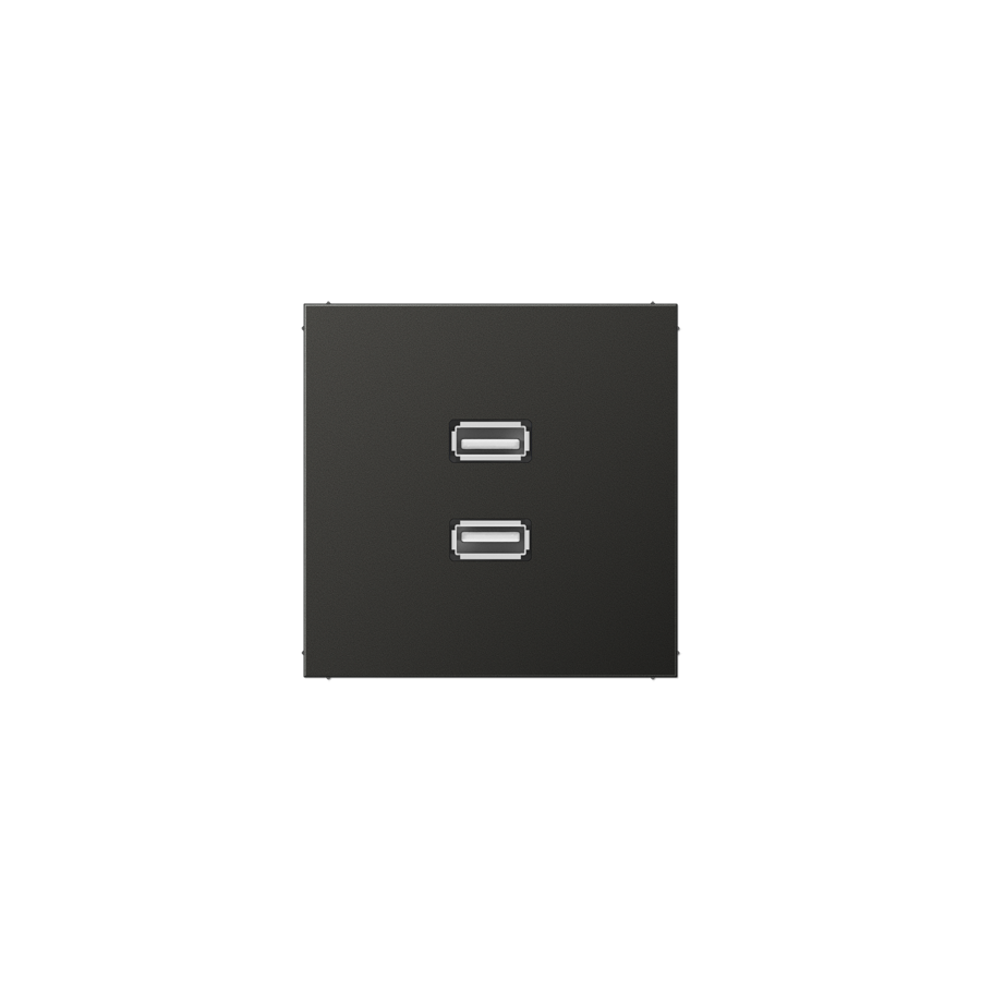 Мультимедійна розетка 2xUSB