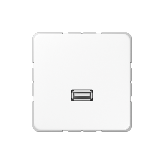 Мультимедійна розетка USB