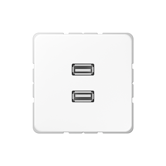 Мультимедійна розетка 2xUSB