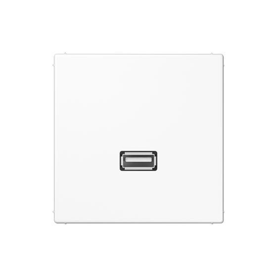 Мультимедійна розетка USB