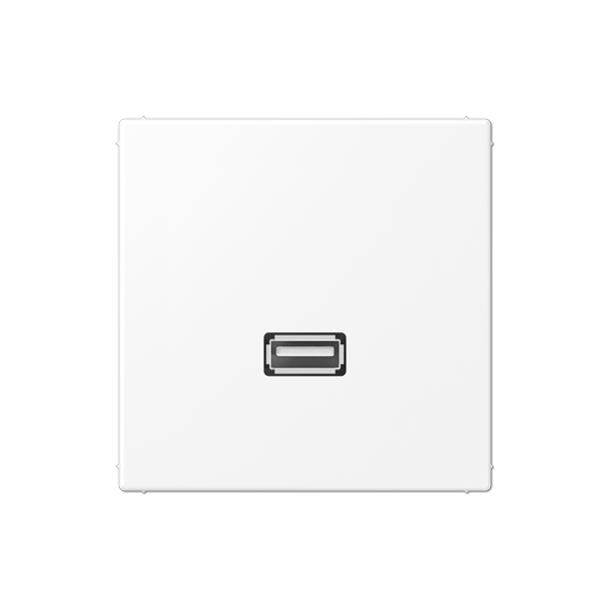 Мультимедійна розетка USB