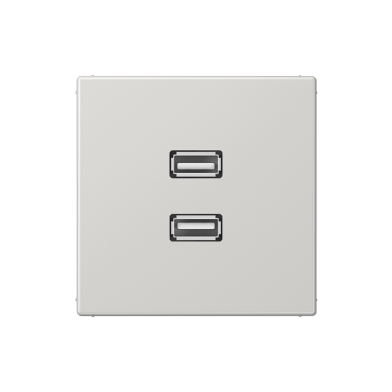 Мультимедійна розетка 2xUSB