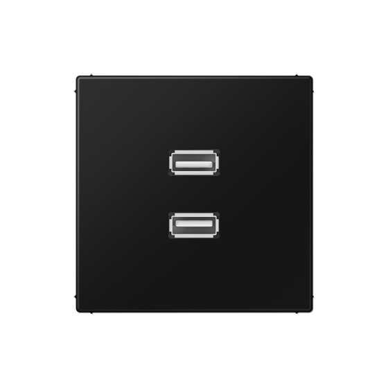 Мультимедійна розетка 2xUSB
