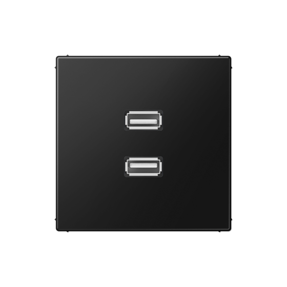 Мультимедійна розетка 2xUSB