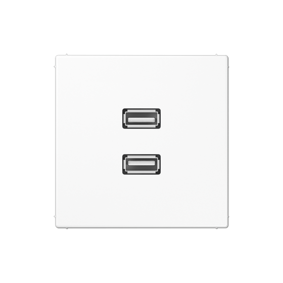 Мультимедійна розетка 2xUSB