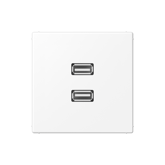 Мультимедійна розетка 2xUSB